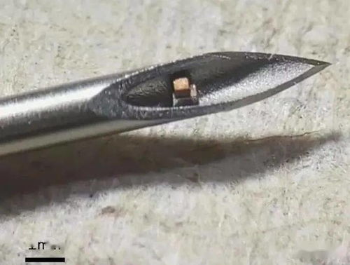 世界最小的可植入單芯片系統,實現無線體溫監測等功能